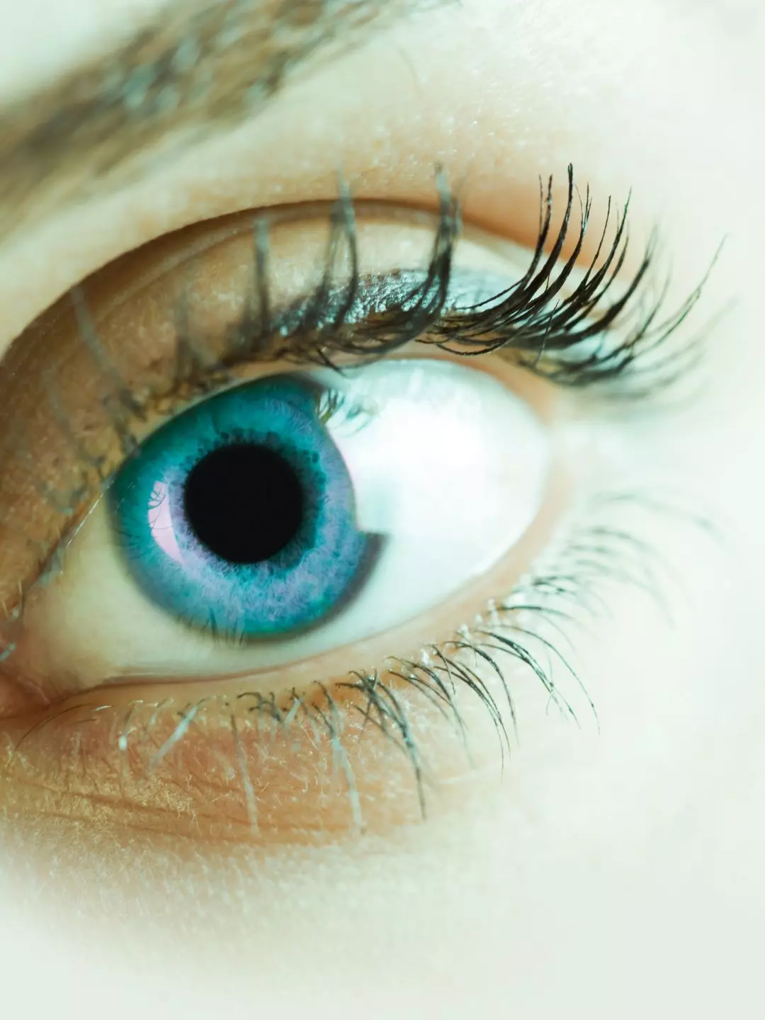 Yo te veo: Entendiendo su Significado